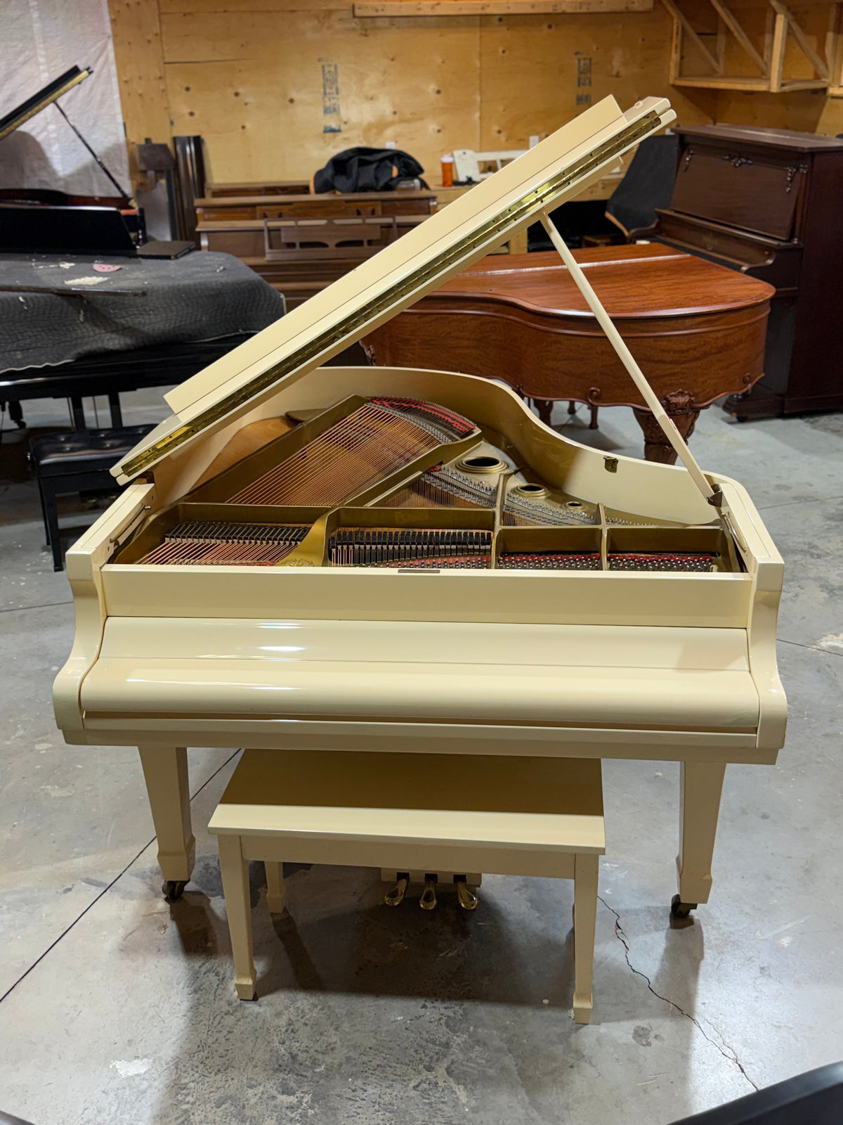 Young Chang G-185 Grand Piano – Ivory, Delivery Included
