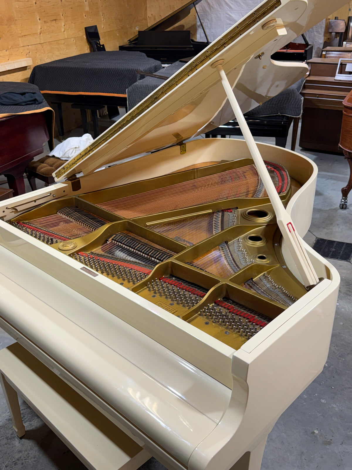 Young Chang G-185 Grand Piano – Ivory, Delivery Included