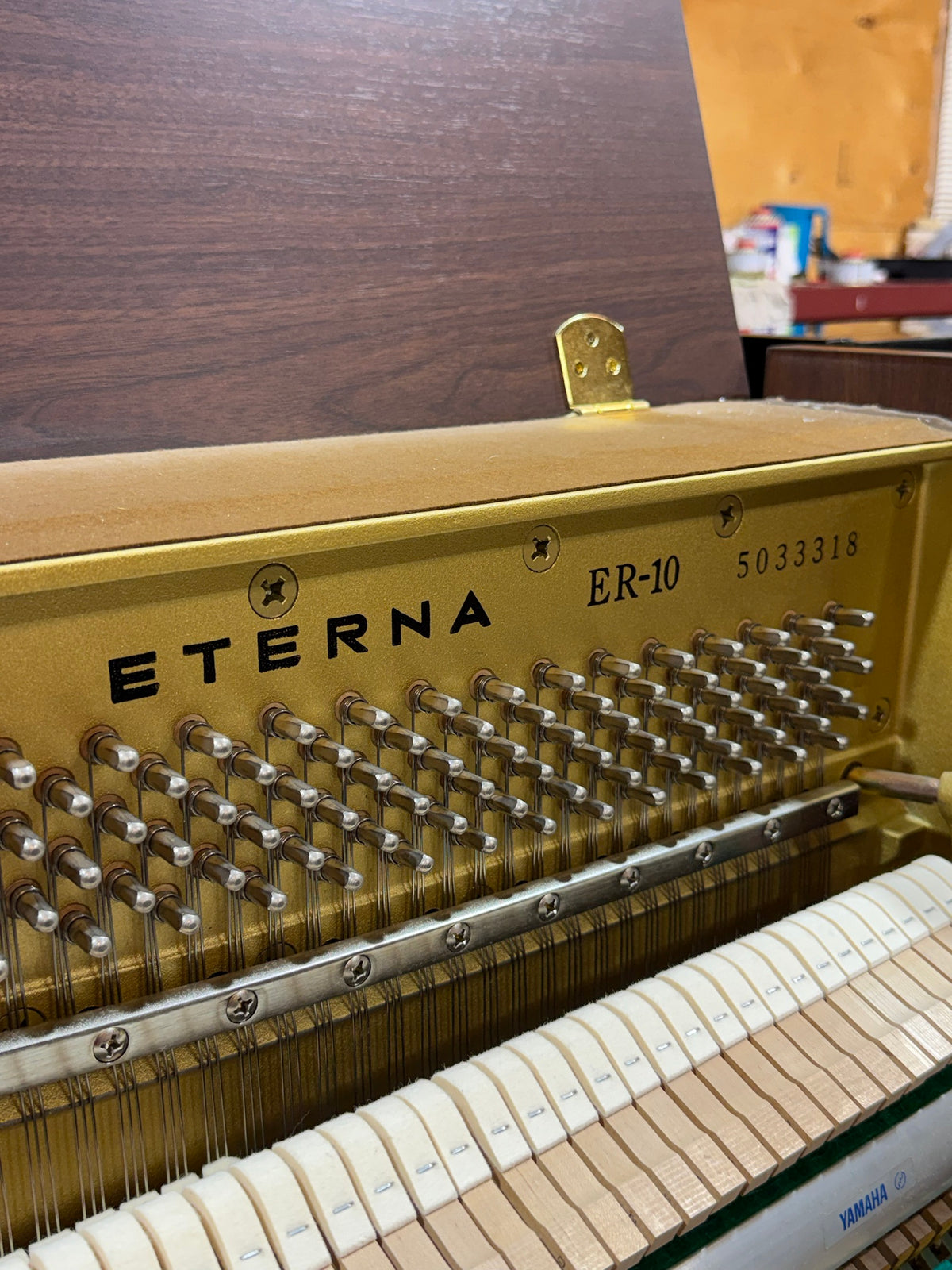 Eterna ER-10 model and serial number on the plate